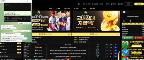 디스코드 먹튀신고합니다 원금까지 전액먹튀