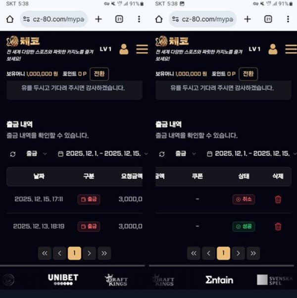 체코 먹튀