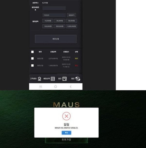 마우스 먹튀