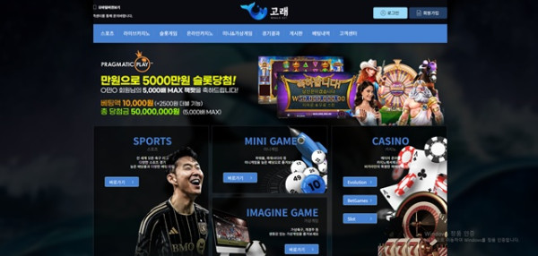 고래 먹튀 분석 증거