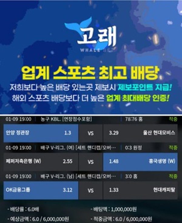 고래 먹튀 확정