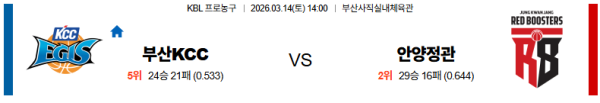 부산KCC 대 안양정관장 KBL 03월14일 맞대결 생중계, 스포츠중계, 스포츠분석