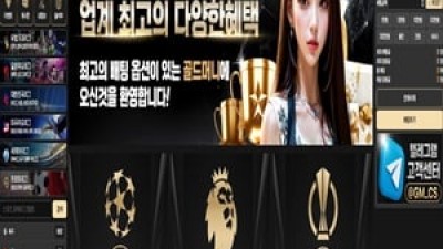 먹튀사이트 골드머니 270만원 피해