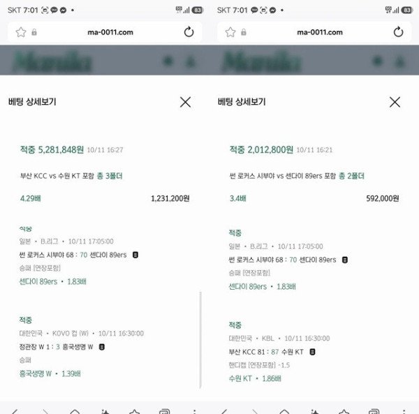 먹튀증거