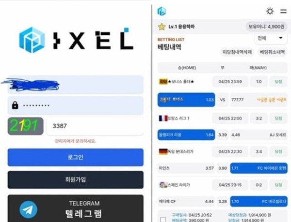 먹튀증거