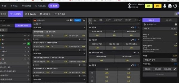먹튀증거