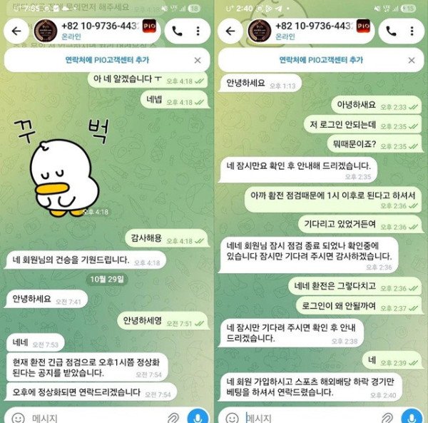 먹튀증거