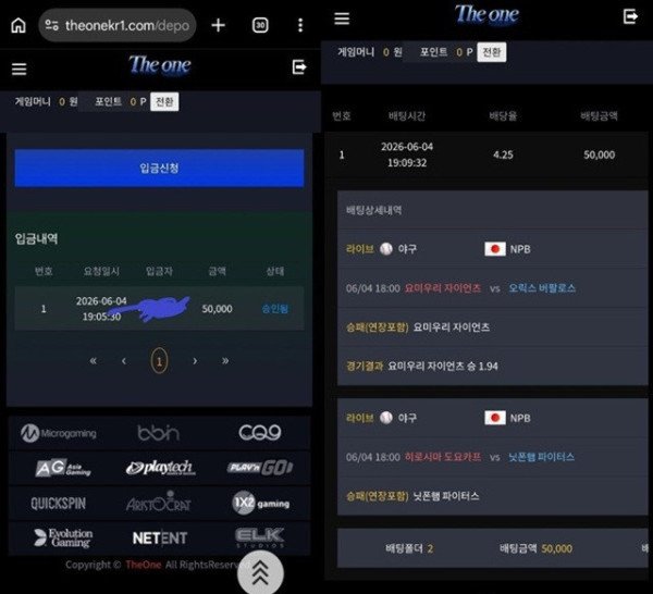 먹튀증거