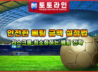 안전한 베팅 금액 설정법 | 리스크를 최소화하는 베팅 전략
