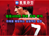 토토사이트 먹튀 사례 분석: 피해를 예방하는 실질적인 방법
