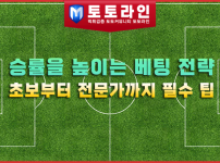 승률을 높이는 베팅 전략 | 초보부터 전문가까지 필수 팁