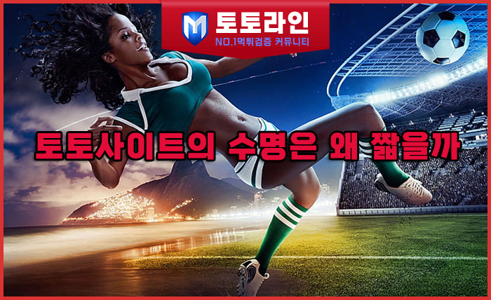 토토라인 리서치팀 안전놀이터 신뢰 분석 리포트