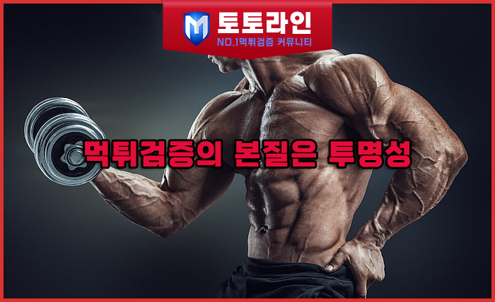 토토라인 리서치팀 안전놀이터 신뢰 분석 리포트