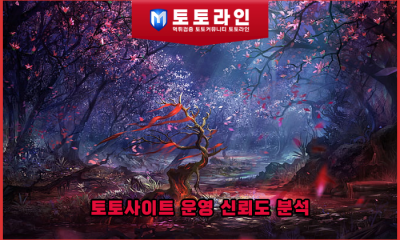 토토사이트 운영 신뢰도 분석 — 실제 이용 패턴으로 본 안전 기준