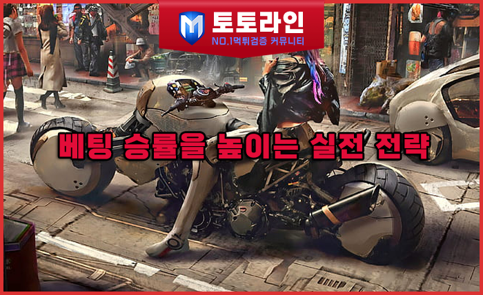 토토라인 리서치팀 먹튀검증 데이터 리포트