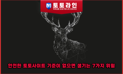 안전한 토토사이트 기준이 없으면 생기는 7가지 위험 — 초보자가 가장 먼저 당하는 패턴